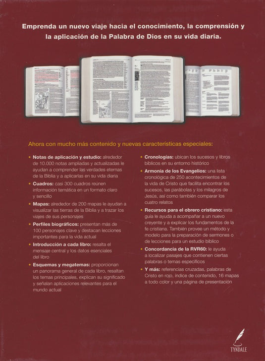 Biblia de estudio del Diario Vivir RVR 1960, café
