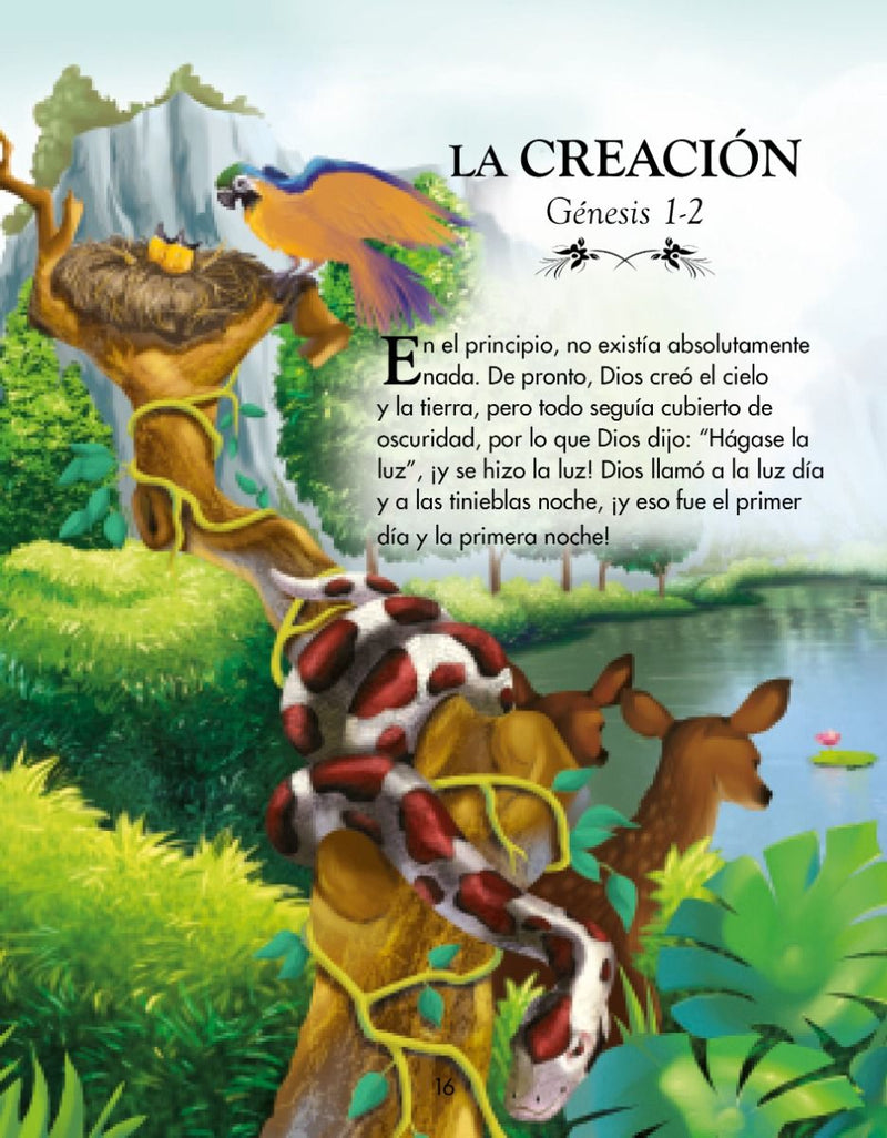 Cargue la imagen en el visor de la galería, Biblia completa ilustrada para niños - edición de regalo
