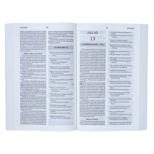 Cargue la imagen en el visor de la galería, Biblia para leer en un año NVI- Naturaleza
