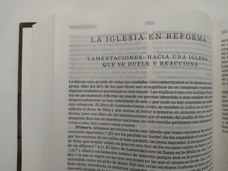 Cargue la imagen en el visor de la galería, Biblia NVI de estudio Nueva Reforma
