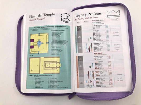 Santa Biblia RVR 1960, Letra Grande, Edición zíper (Tela lila Boreal)