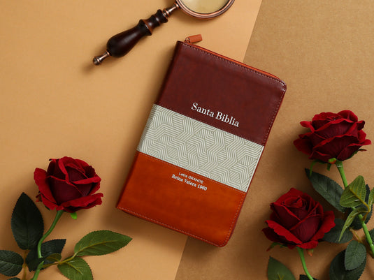 Biblia RVR 1960, Cierre zíper, con índice, Letra Grande, imitación piel café
