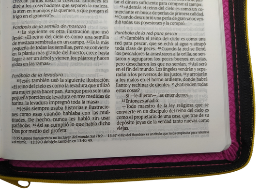 Santa Biblia NTV, Edición zíper (SentiPiel Fucsia)