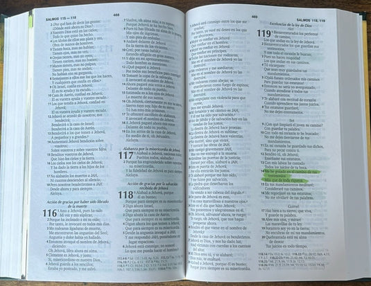 La Biblia Financiera RVR 1960