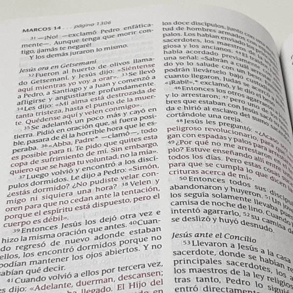Cargue la imagen en el visor de la galería, Santa Biblia NTV, Edición Compacta, Letra Grande, Gálatas 6:14
