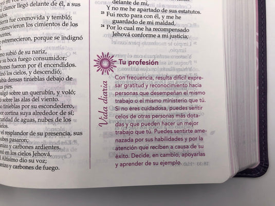 Biblia de la mujer conforme al corazón de Dios RVR 1960, imitación piel morada