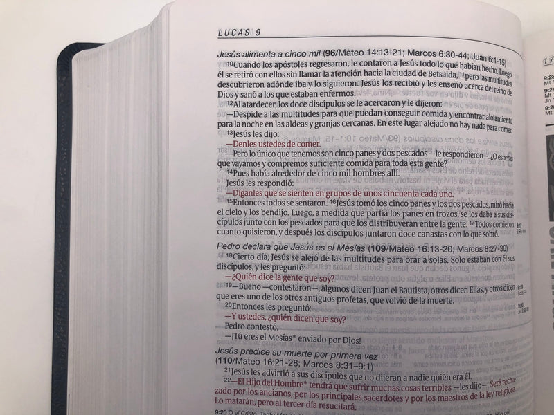 Cargue la imagen en el visor de la galería, Biblia de estudio del diario vivir NTV
