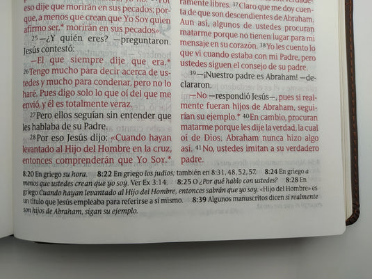 Santa Biblia NTV, Edición personal, Letra Grande, Duotono (Sentipiel café/café claro)
