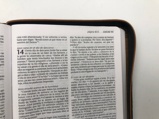 Santa Biblia NTV, Edición compacta con zíper (SentiPiel Café latte)