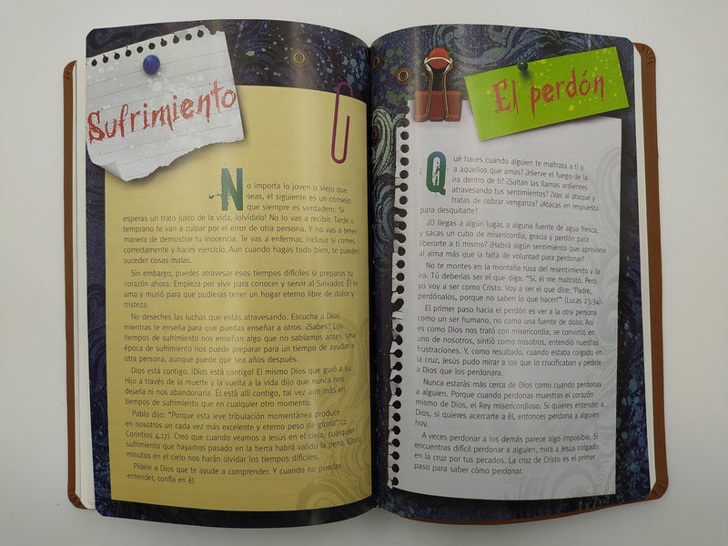 Cargue la imagen en el visor de la galería, Biblia Devocional Diaria Max Lucado RVR 1960, café
