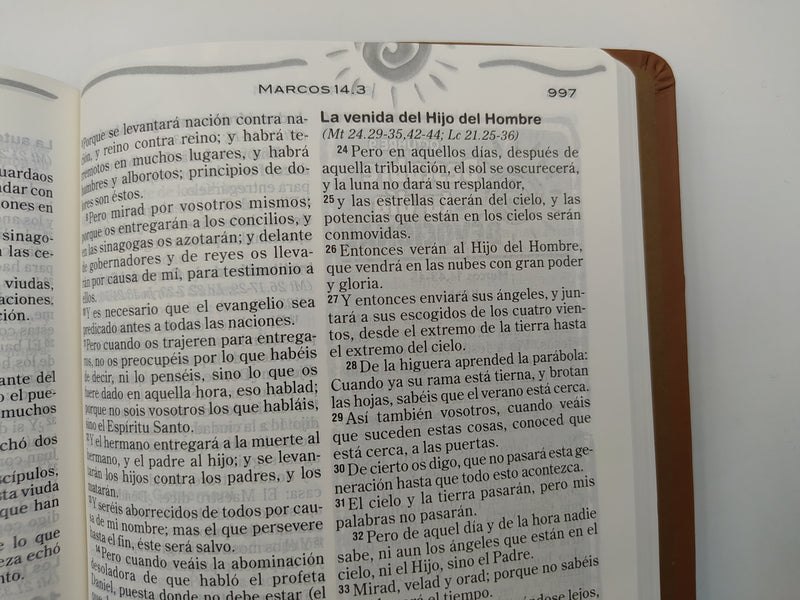 Cargue la imagen en el visor de la galería, Biblia Devocional Diaria Max Lucado RVR 1960, café
