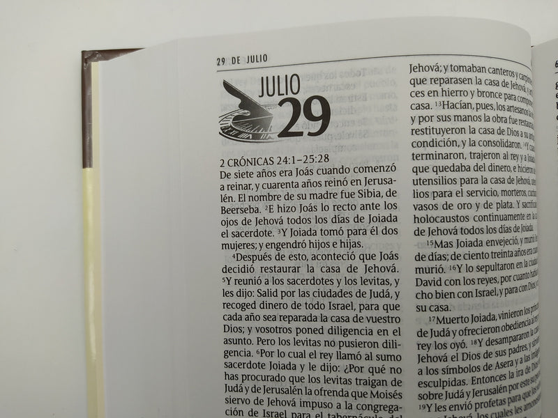 Cargue la imagen en el visor de la galería, La Biblia en un Año RVR 1960
