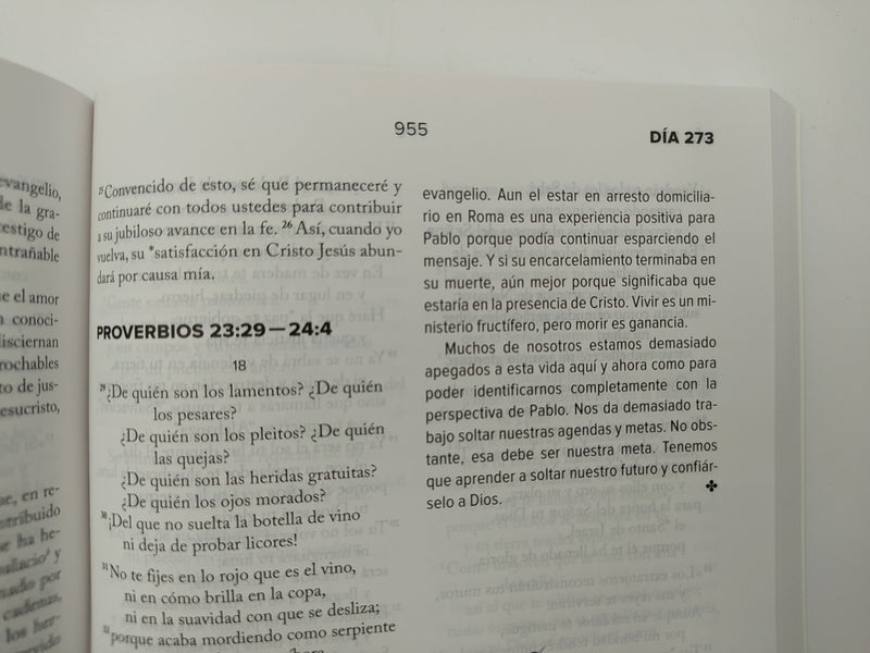 Cargue la imagen en el visor de la galería, Biblia un día a la vez NVI, Tapa Rústica
