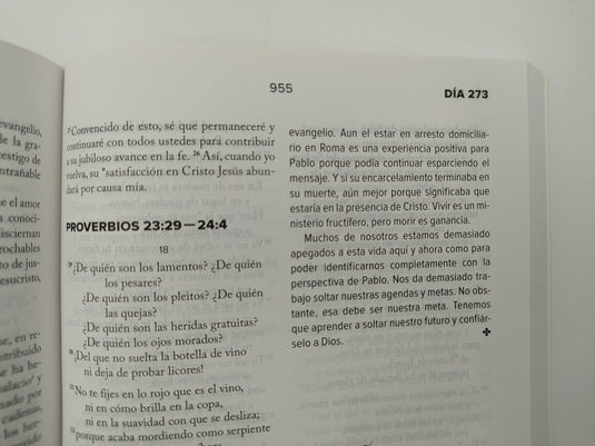 Biblia un día a la vez NVI, Tapa Rústica
