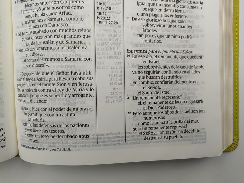 Cargue la imagen en el visor de la galería, Santa Biblia NTV, Edición de Referencia Ultrafina, Letra grande (Sentipiel verde)
