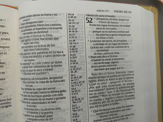 Santa Biblia NTV, Edición Zíper con referencias, Letra Grande (SentiPiel, Beige)