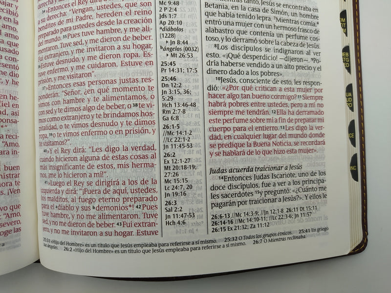 Cargue la imagen en el visor de la galería, Biblia NTV, ultrafina, Letra Grande, con índice, imitación piel café oscuro
