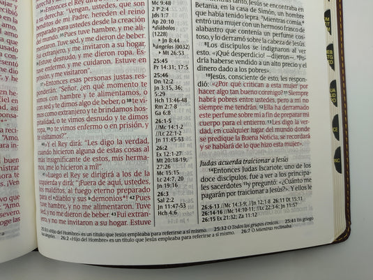 Biblia NTV, ultrafina, Letra Grande, con índice, imitación piel café oscuro