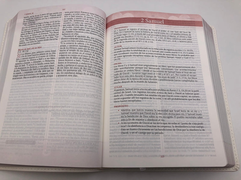 Cargue la imagen en el visor de la galería, Biblia devocional Los Lenguajes del amor RVR 1960, imitación piel blanco
