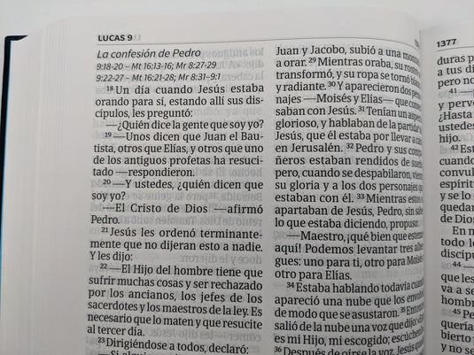 Biblia RVR 1960, Compacta, Letra Grande, bordado sobre tela