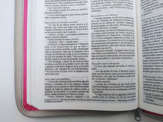 Santa Biblia NTV, Edición zíper (SentiPiel Flores rosa)