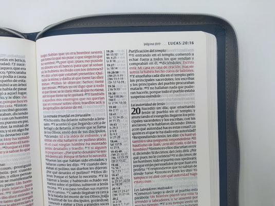 Santa Biblia RVR 1960, Letra Grande, Edición zíper con referencias (SentiPiel gris)