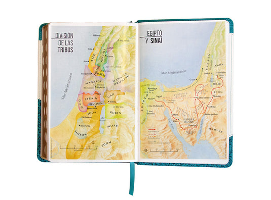 Santa Biblia RVR 1960, Tamaño Manual, Letra Grande, i/piel turquesa/blanco con índice