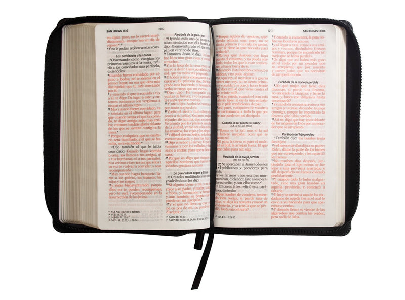 Cargue la imagen en el visor de la galería, Santa Biblia RVR 1960, Letra Grande, Cierre zíper, i/piel negro

