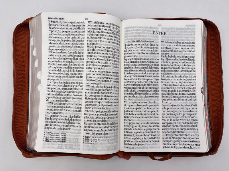 Cargue la imagen en el visor de la galería, Santa Biblia RVR 1960, Letra Gigante, i/piel con cierre café
