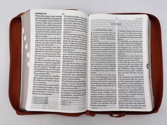 Santa Biblia RVR 1960, Letra Gigante, i/piel con cierre café