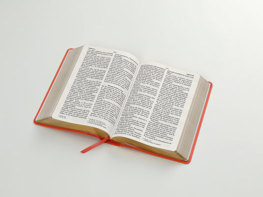 Biblia RVR 1960, Letra Gigante, imitación piel coral