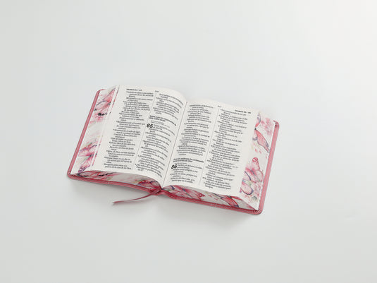 Biblia RVR 1960, Tamaño portátil, Letra Grande, imitación piel rosada con mariposas