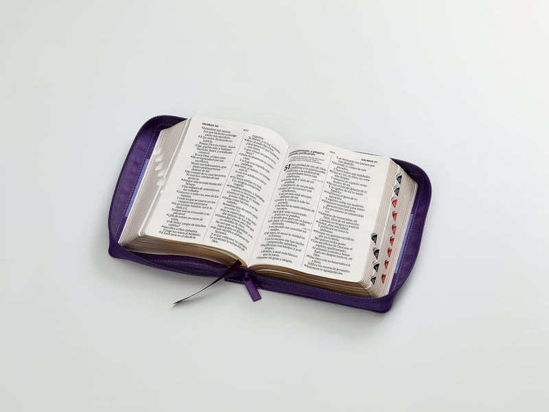 Cargue la imagen en el visor de la galería, Biblia RVR 1960, Tamaño portátil, Cierre zíper, con índice, Letra Grande, imitación piel morada
