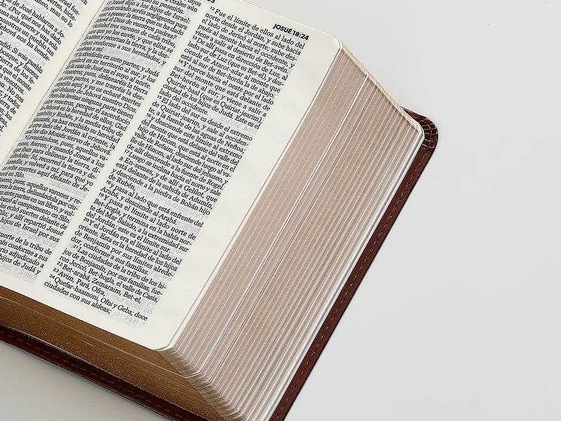 Cargue la imagen en el visor de la galería, Biblia RVR 1960, Tamaño Bolsillo, imitación piel café
