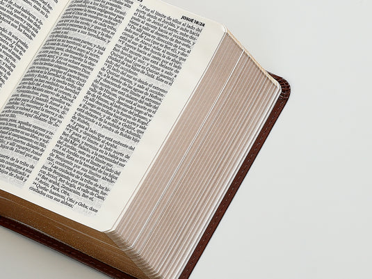 Biblia RVR 1960, Tamaño Bolsillo, imitación piel café