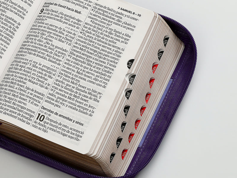 Cargue la imagen en el visor de la galería, Biblia RVR 1960, Tamaño portátil, Cierre zíper, con índice, Letra Grande, imitación piel morada
