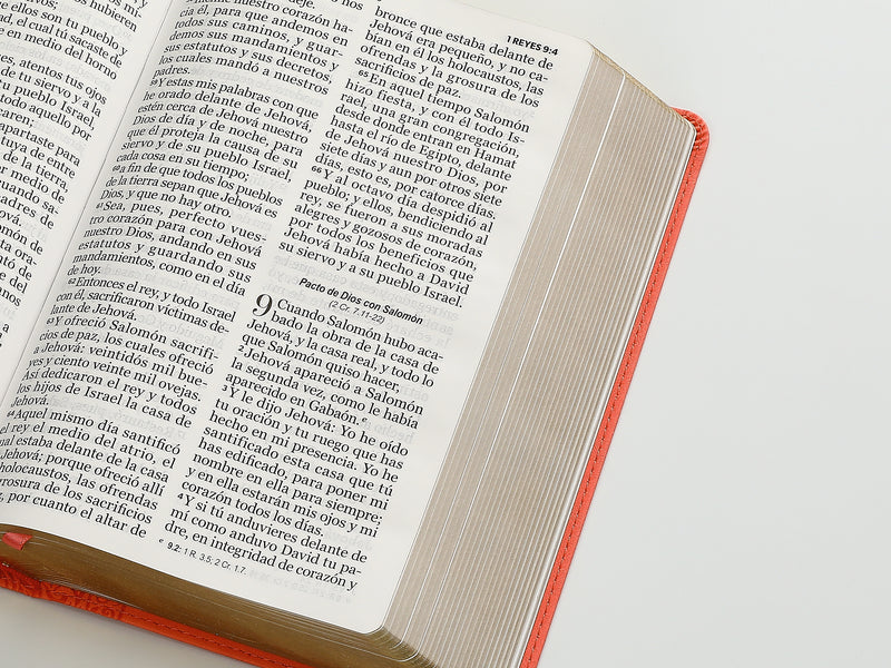 Cargue la imagen en el visor de la galería, Biblia RVR 1960, Letra Gigante, imitación piel coral
