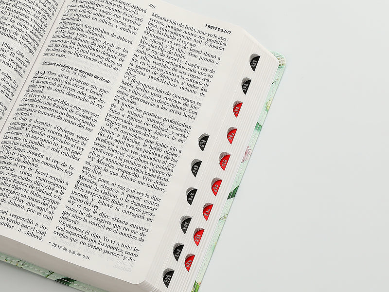 Cargue la imagen en el visor de la galería, Biblia RVR 1960, Tamaño Manual, Letra Grande, con índice, imitación piel celeste flores
