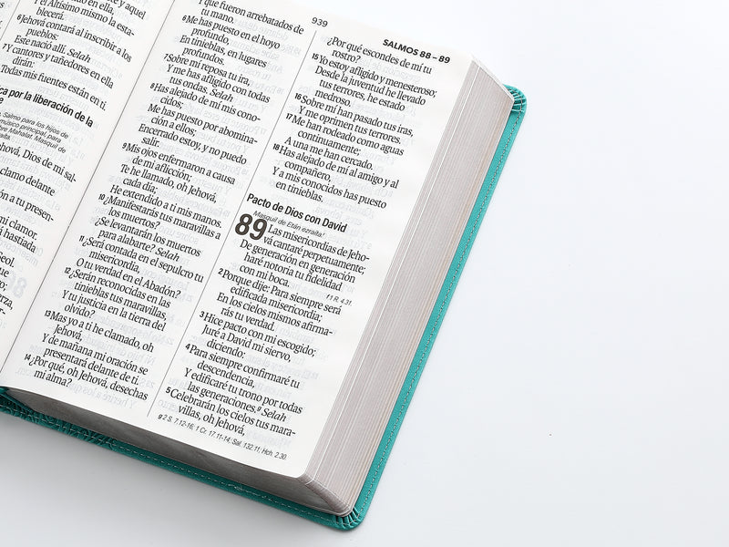 Cargue la imagen en el visor de la galería, Biblia RVR 1960, Letra Súper Gigante, imitación piel turquesa
