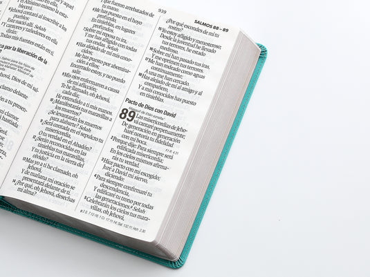 Biblia RVR 1960, Letra Súper Gigante, imitación piel turquesa
