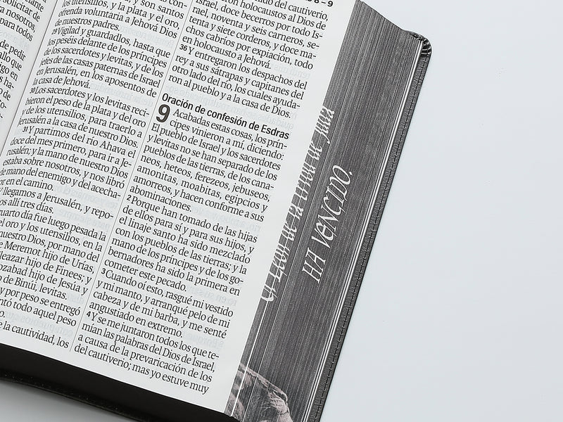 Cargue la imagen en el visor de la galería, Biblia RVR 1960, Letra Súper Gigante, imitación piel León de Judá
