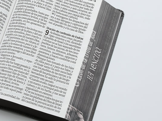 Biblia RVR 1960, Letra Súper Gigante, imitación piel León de Judá