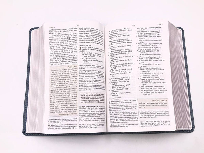 Cargue la imagen en el visor de la galería, Biblia de Estudio NBLA, Interior a dos colores, Leathersoft, Gris, Comfort Print
