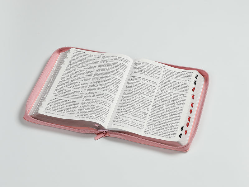 Cargue la imagen en el visor de la galería, Biblia RVR 1960, Letra Gigante, Cierre zíper, con índice, imitación piel rosada
