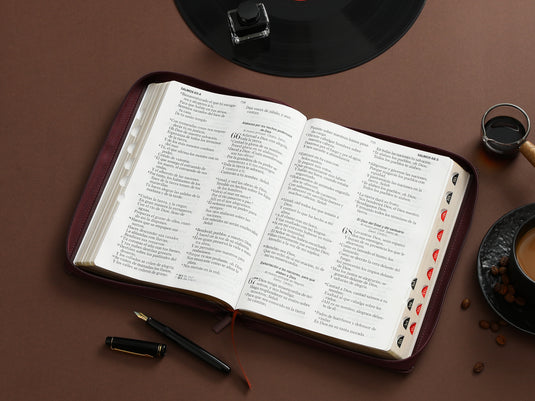 Biblia RVR 1960, Letra Gigante, Cierre zíper, con índice, imitación piel café