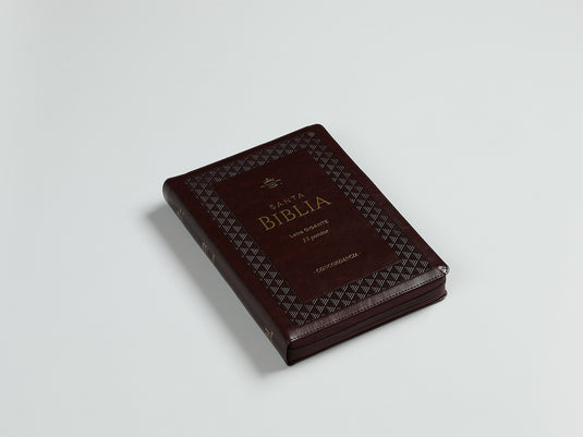 Biblia RVR 1960, Letra Gigante, Cierre zíper, con índice, imitación piel café