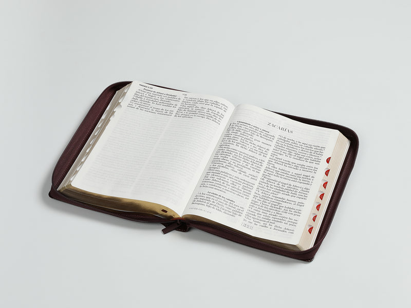 Cargue la imagen en el visor de la galería, Biblia RVR 1960, Letra Gigante, Cierre zíper, con índice, imitación piel café
