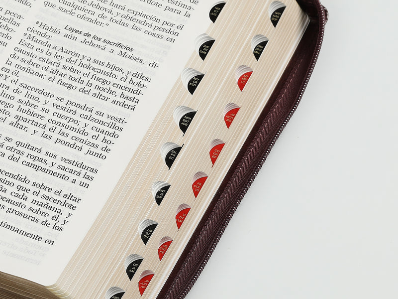 Cargue la imagen en el visor de la galería, Biblia RVR 1960, Letra Gigante, Cierre zíper, con índice, imitación piel café
