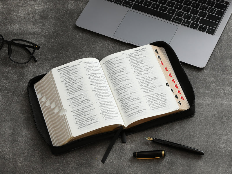 Cargue la imagen en el visor de la galería, Biblia RVR 1960, Letra Grande, Cierre zíper, con índice, imitación piel negro espada
