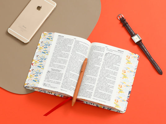 Biblia RVR 1960, Tamaño portátil, Letra Grande, imitación piel naranja primaveral